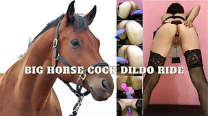 Amateur wife takes beamy horse cock dildo